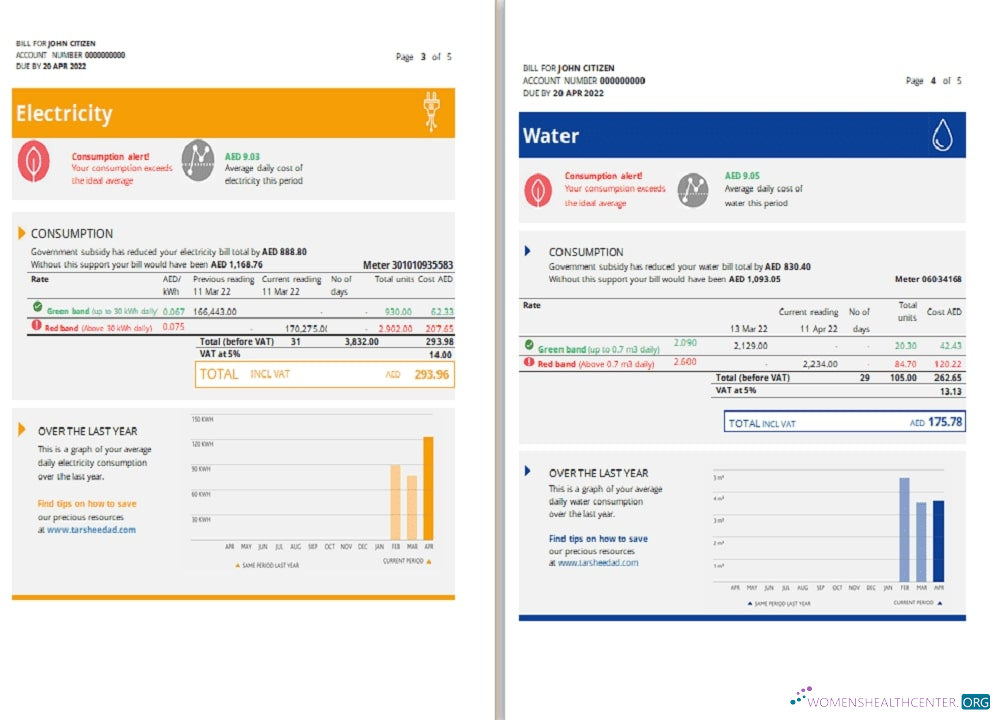 download UAE Ras Al Khaimah Al Ain Distribution Co. Word and PDF utility bill template (5 pages) 3 4 PDF template